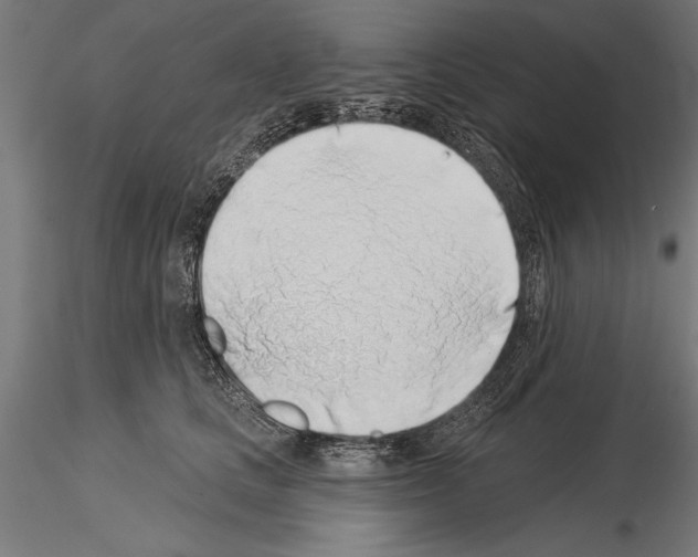 X0000115230661200912111031