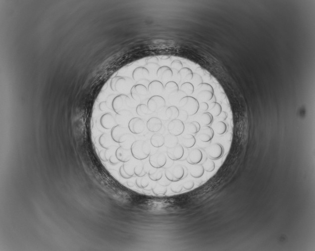 X0000115230662200912111031