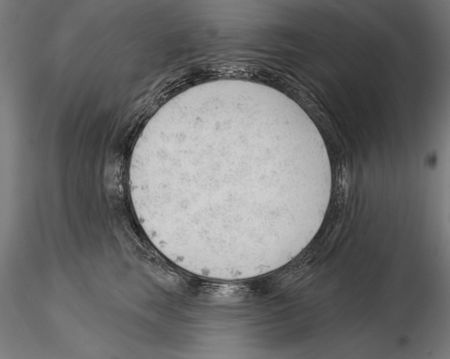 X0000115230663200912111031