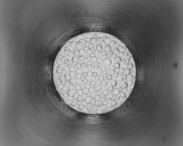 X0000115230666200912111031