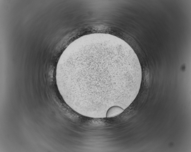 X0000115230668200912111031