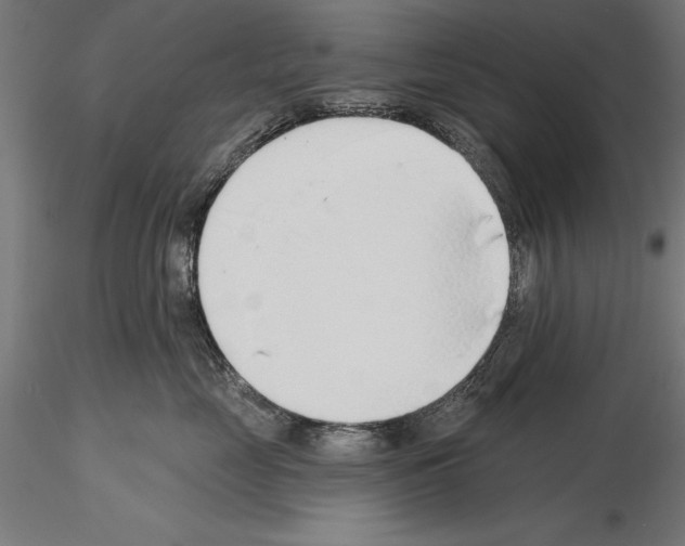 X0000115230669200912111031