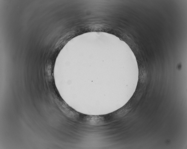 X0000115230670200912111031