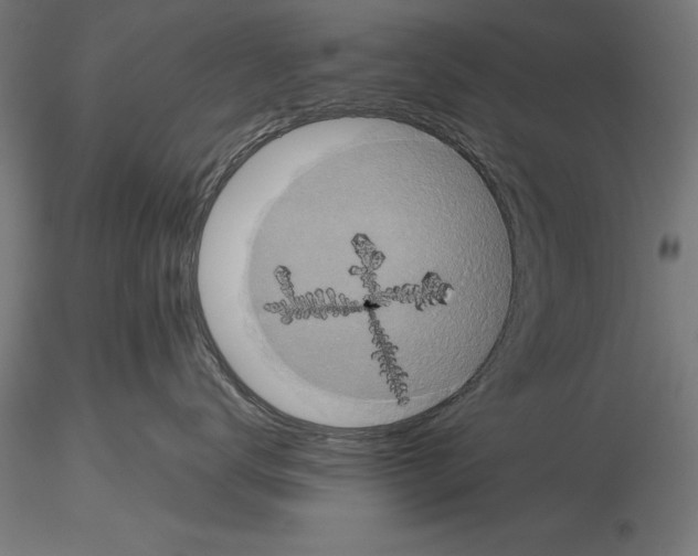 X0000115230672200912111031