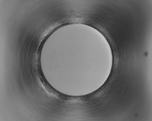 X0000115230674200912111031