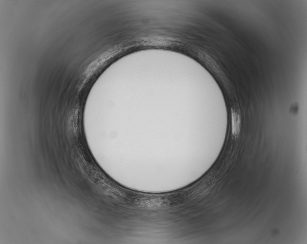 X0000115230675200912111031