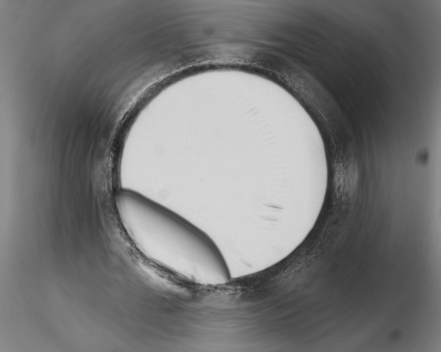 X0000115230676200912111031