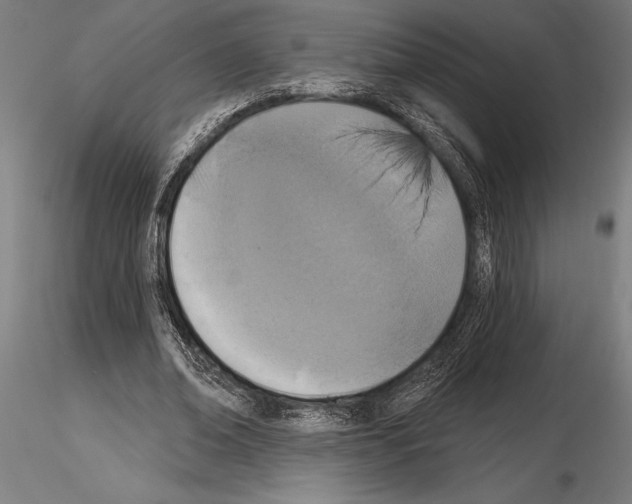 X0000115230678200912111031