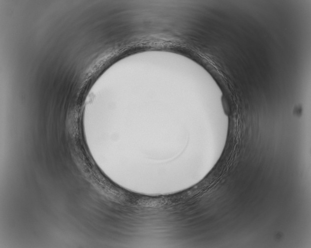 X0000115230679200912111031