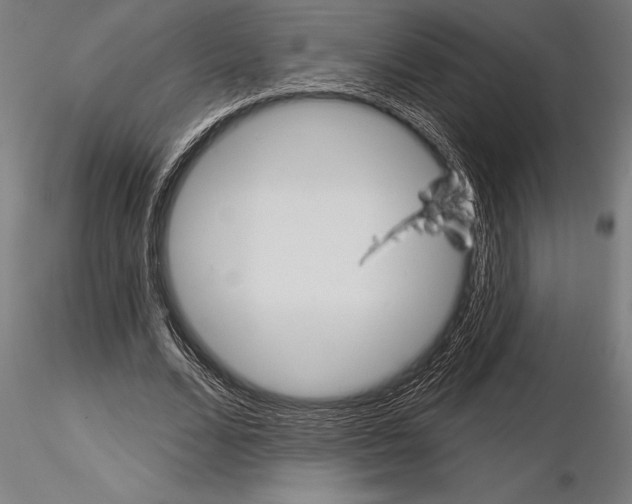 X0000115230680200912111031