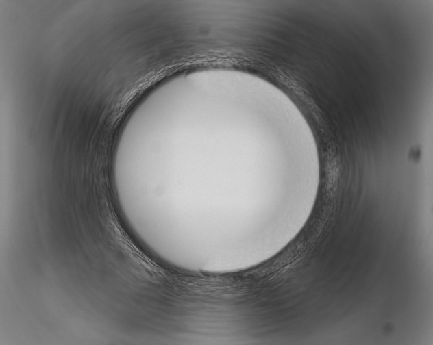 X0000115230681200912111031