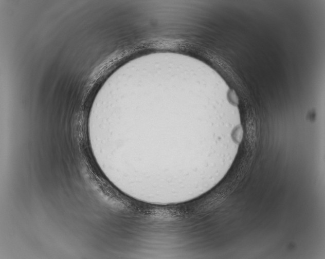 X0000115230682200912111030