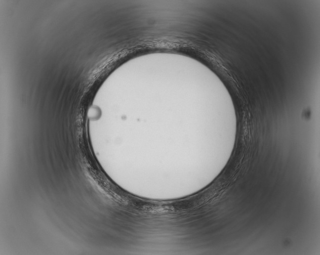 X0000115230683200912111030