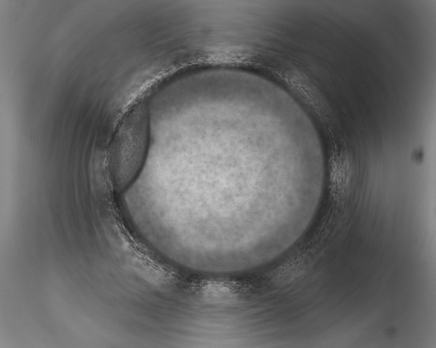 X0000115230684200912111030