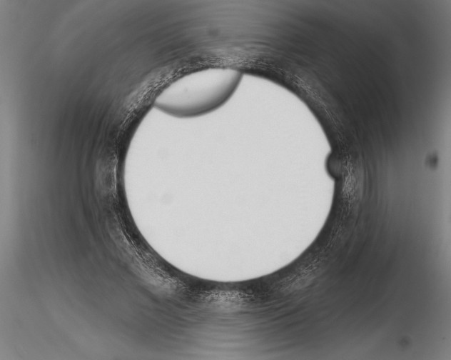 X0000115230685200912111030