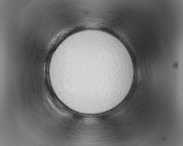 X0000115230686200912111030