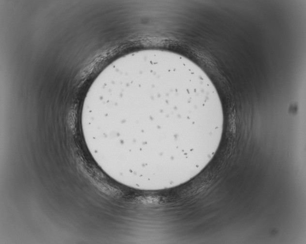 X0000115230687200912111030