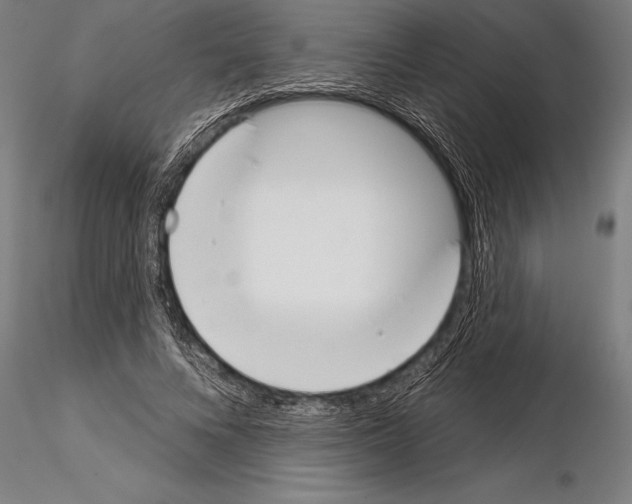 X0000115230688200912111030