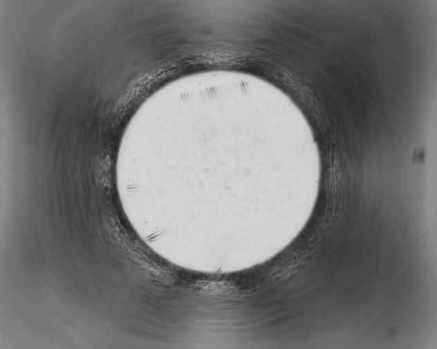 X0000115230689200912111030