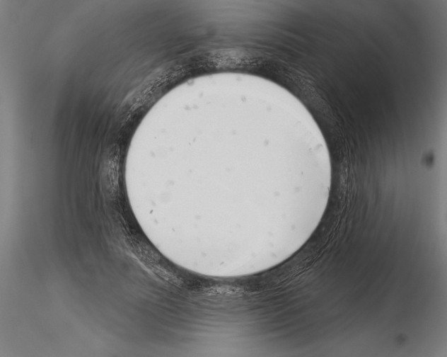 X0000115230691200912111030