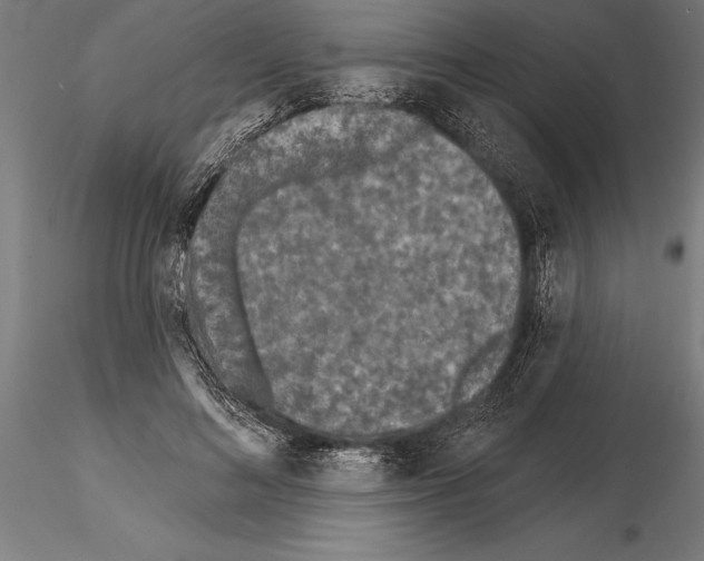 X0000115230692200912111030