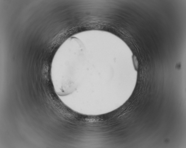 X0000115230693200912111030