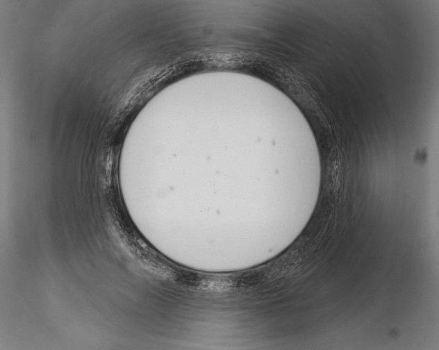 X0000115230694200912111030