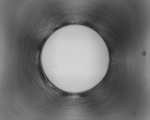 X0000115230695200912111030