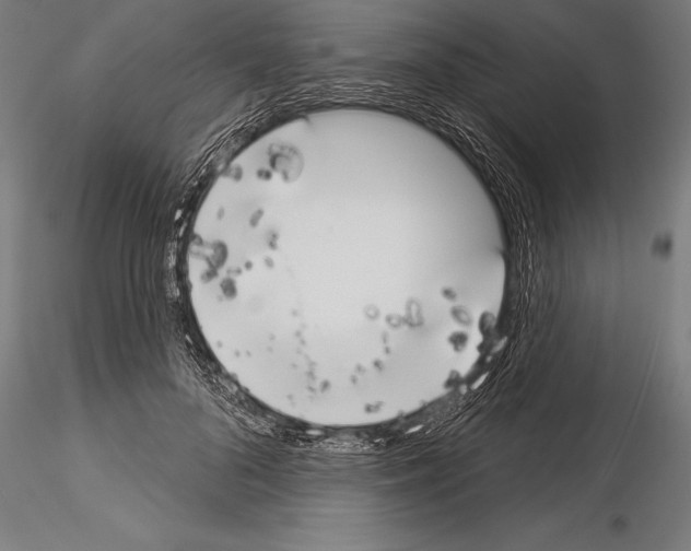 X0000115230696200912111030