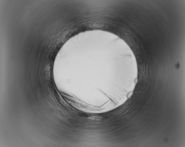 X0000115230700200912111030