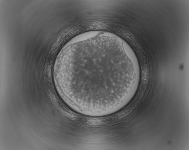 X0000115230701200912111030