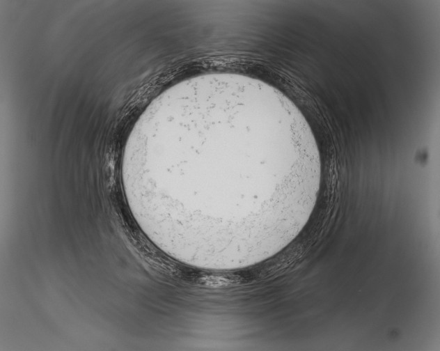 X0000115230703200912111030