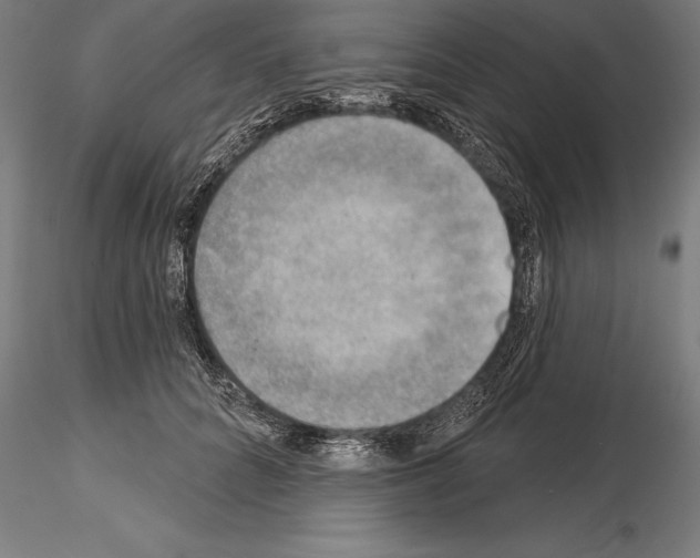 X0000115230704200912111030