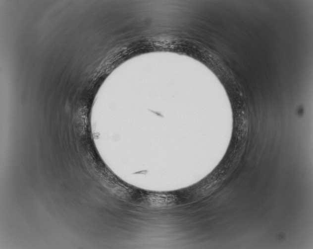 X0000115230707200912111030