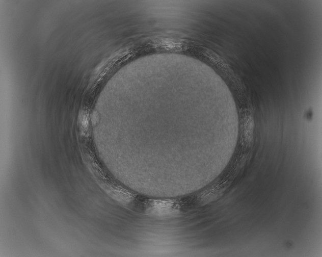 X0000115230709200912111030