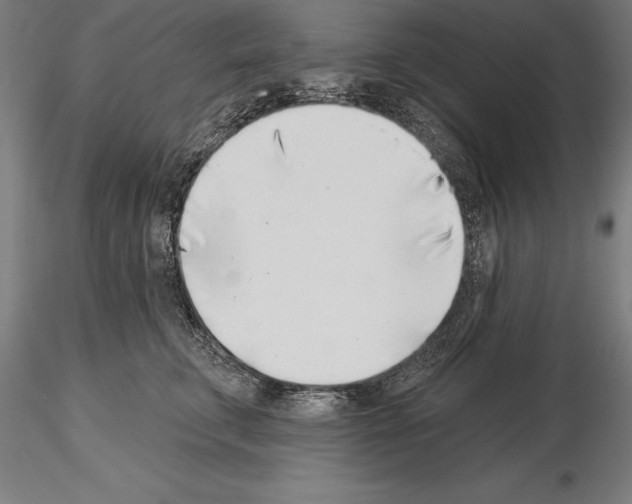 X0000115230711200912111030