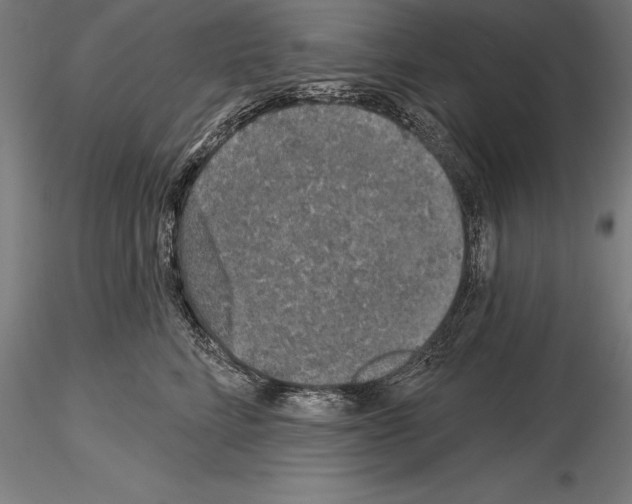 X0000115230712200912111030