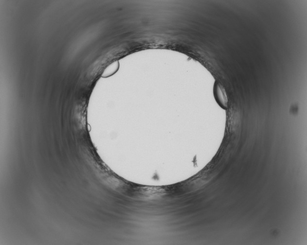 X0000115230719200912111030