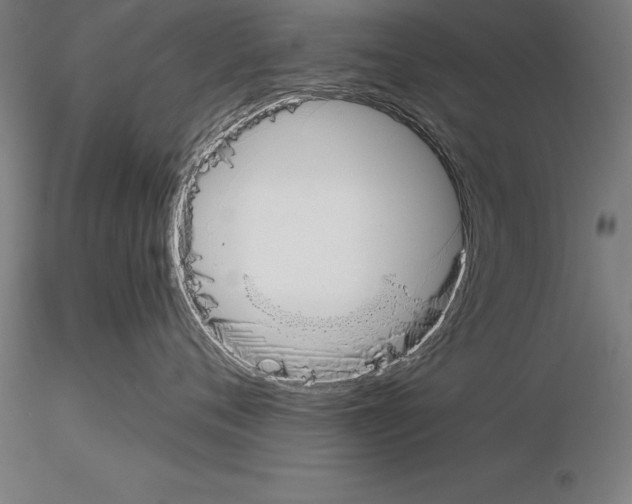 X0000115230720200912111030