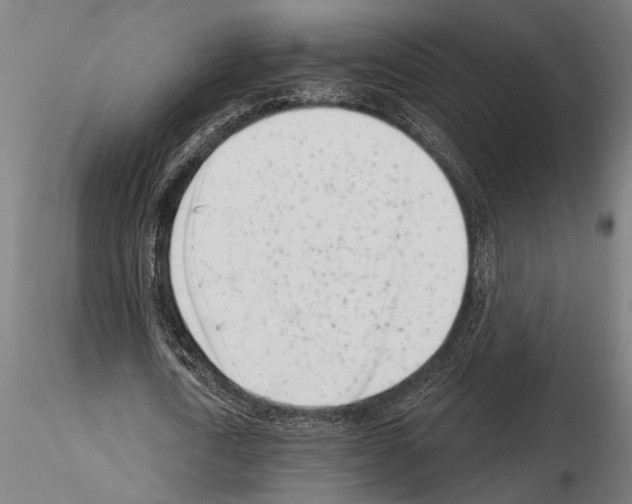 X0000115230722200912111029