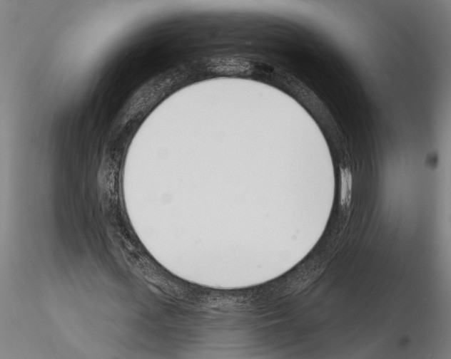 X0000115230723200912111029