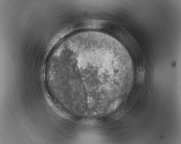 X0000115230726200912111029