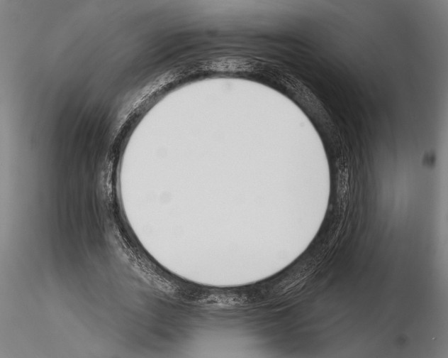 X0000115230727200912111029