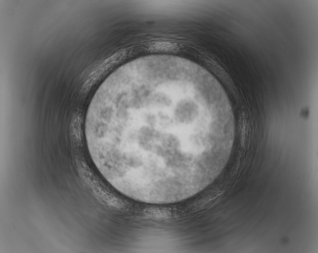 X0000115230729200912111029