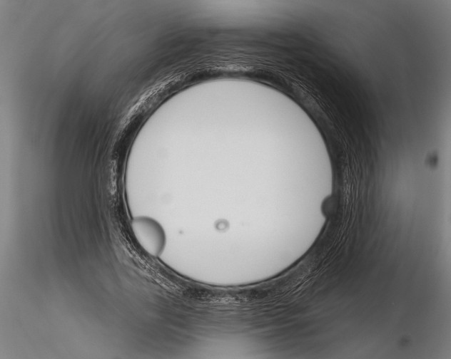 X0000115230731200912111029