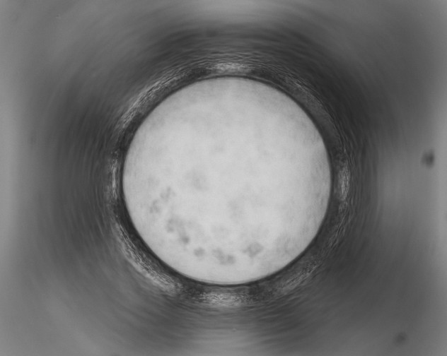 X0000115230733200912111029