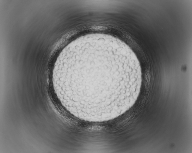 X0000115230734200912111029