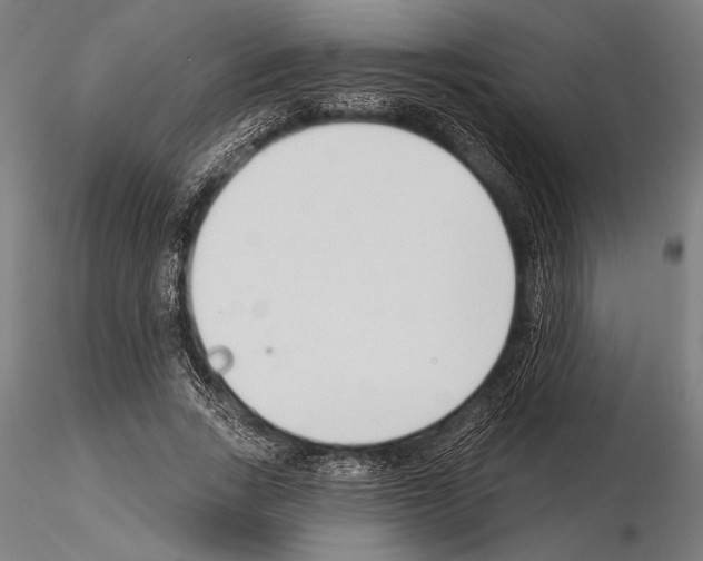 X0000115230735200912111029