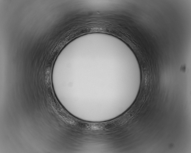 X0000115230737200912111029