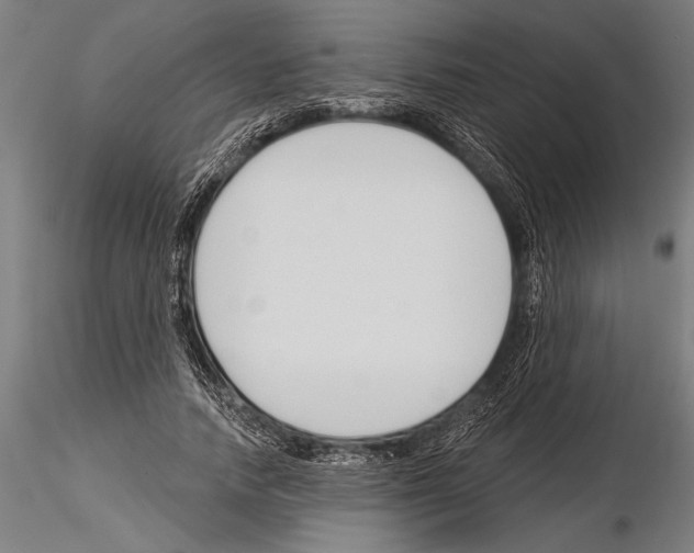 X0000115230738200912111029